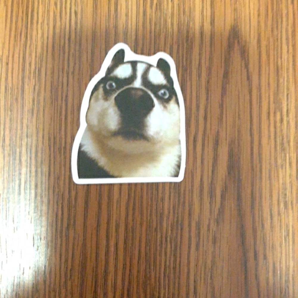 Meme sticker